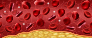 what does cardiovax medication do in the body