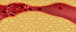 what does cardiovax medication do in the body