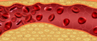 what does cardiovax medication do in the body