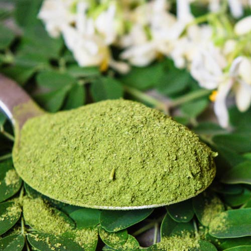 Moringa Oleifera extract